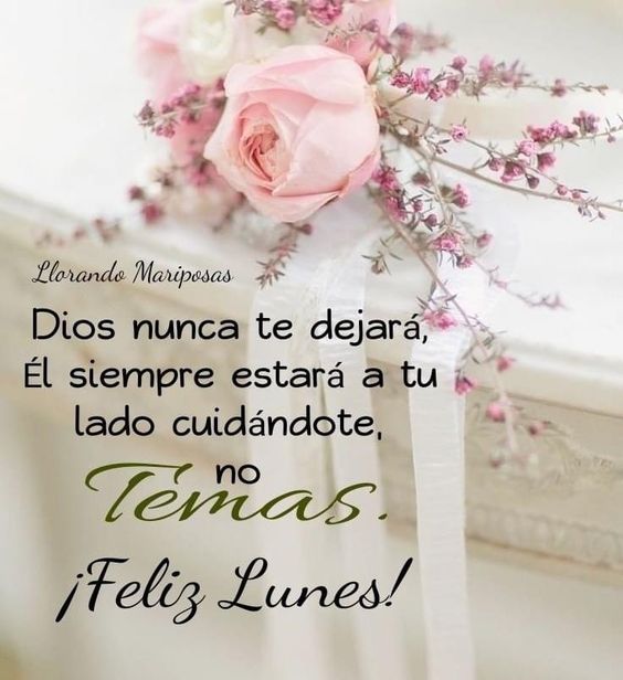 Buenos días , con las Bendiciones de Dios y San Miguel Alcangel 🙏🏻🌞☕🤗😘♥️🌹🥀🌺🌷🪷🌸🏵️🪻🌻🌼🌿💐