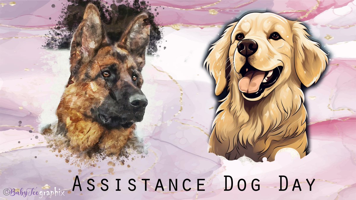 TraceyKenn99152's tweet photo. #AssistanceDogDay - 5 August
#AssistanceDogs https://t.co/JZSsy9g6VK
