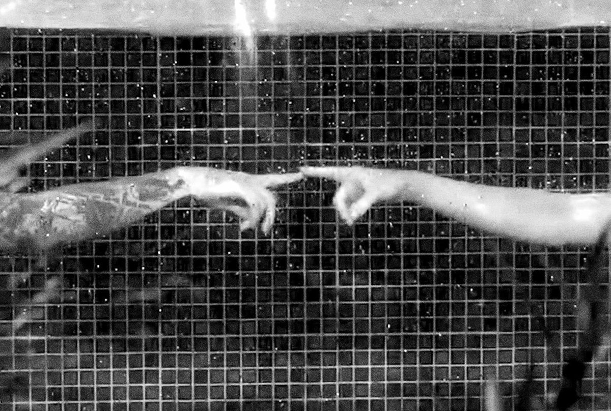 'YOU ARE ME I AM YOU’ MY JIKOOK