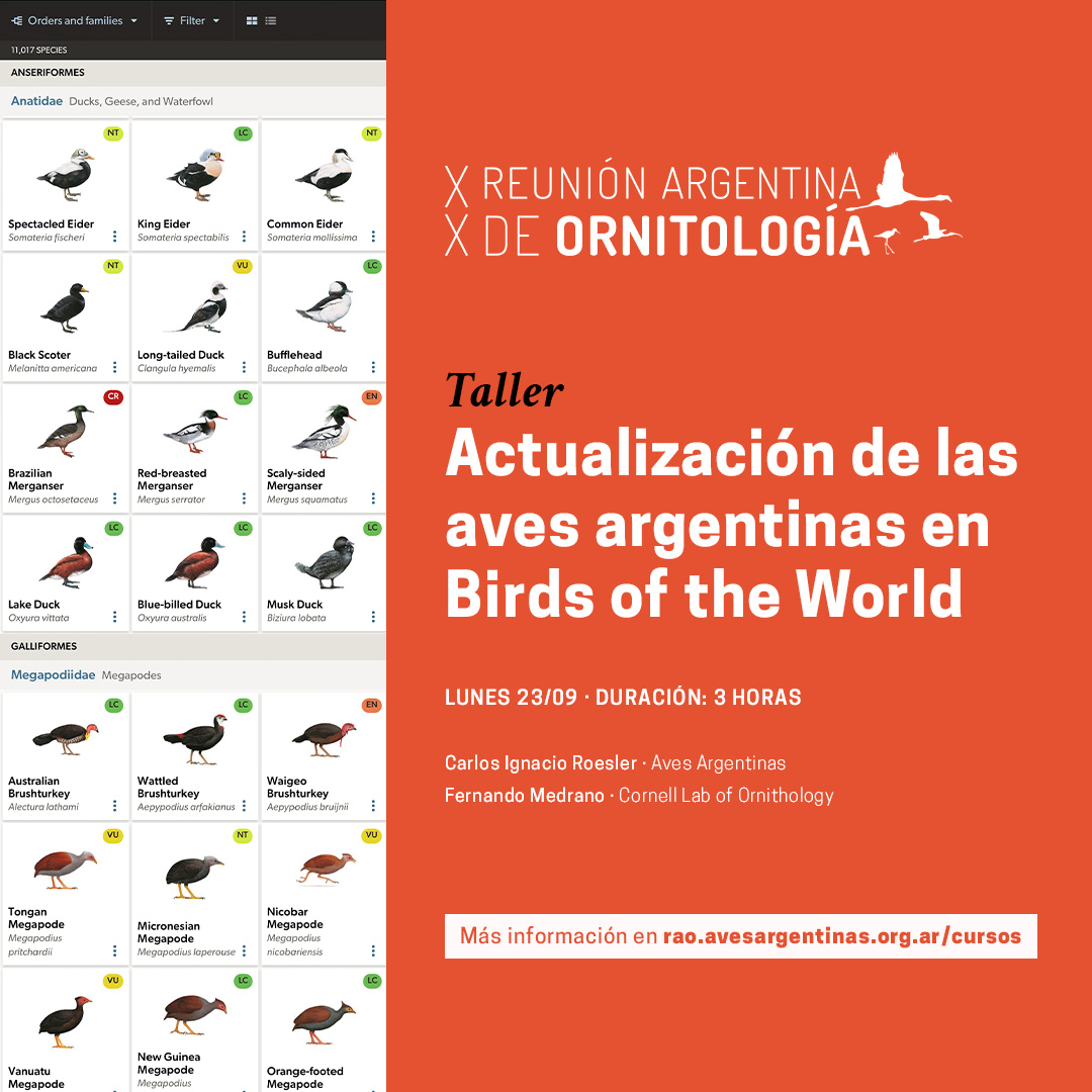 Departamento Científico · Aves Argentinas (@cienciaaves) on Twitter photo <a href="/birdsoftheworld/">Birds of The World: The Cornell Lab</a> es la más completa base de datos de las 11.017 spp de 🦜del mundo. En 📷 es de acceso libre gracias a un convenio con <a href="/AvesArgentinas/">Aves Argentinas</a>. Varias especies aún necesitan actualización, participá del taller de <a href="/kinipolegus/">Kini Roesler</a>
y <a href="/FmedranoM/">Fernando Medrano Martínez</a> para colaborar con el proceso! <a href="/birdsoftheworld/">Birds of The World: The Cornell Lab</a> es la más completa base de datos de las 11.017 spp de 🦜del mundo. En 📷 es de acceso libre gracias a un convenio con <a href="/AvesArgentinas/">Aves Argentinas</a>. Varias especies aún necesitan actualización, participá del taller de <a href="/kinipolegus/">Kini Roesler</a>
y <a href="/FmedranoM/">Fernando Medrano Martínez</a> para colaborar con el proceso!