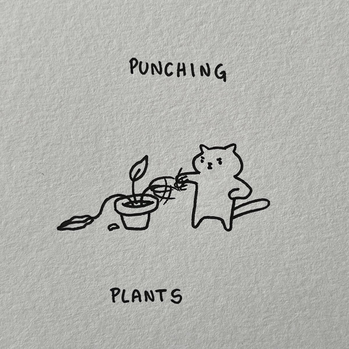 poorlycatdraw's tweet image. the cat olympics part three #Olympics