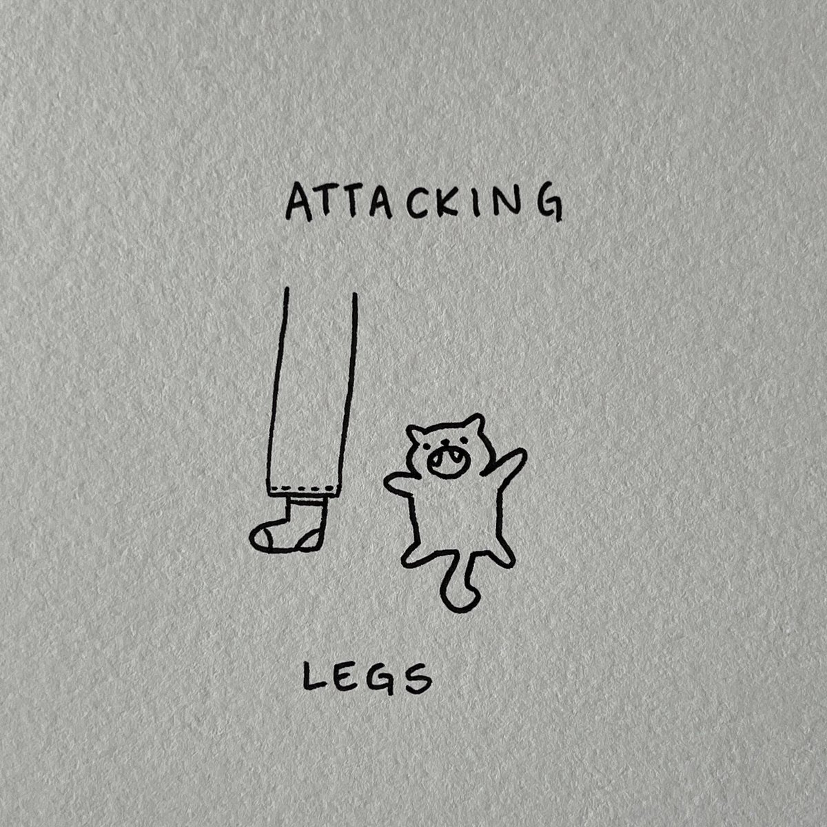 poorlycatdraw's tweet image. the cat olympics part three #Olympics