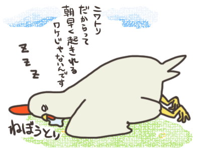 コケコッコー 