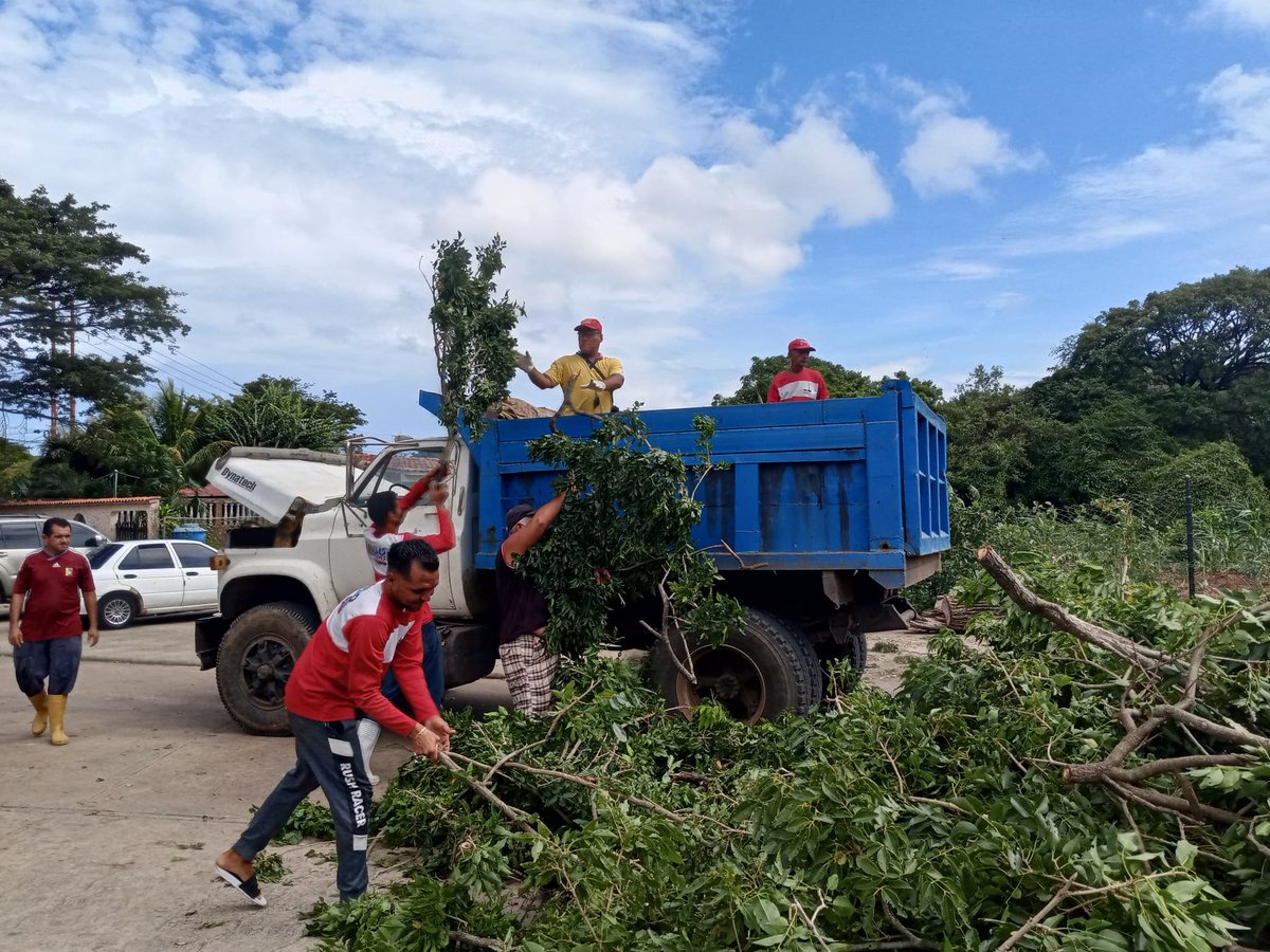 #Ahora Personal de la Dirección de Ambiente de la <a href="/AlcaldiaGomezNE/">Alcaldía G/D Francisco Esteban Gómez</a>, cumpliendo instrucciones del alcalde <a href="/emiliorafael_/">Emilio R. Velásquez</a> Velásquez,
retira un árbol que cayó a consecuencia de los fuertes vientos que se registraron este domingo en horas de la noche en el municipio.