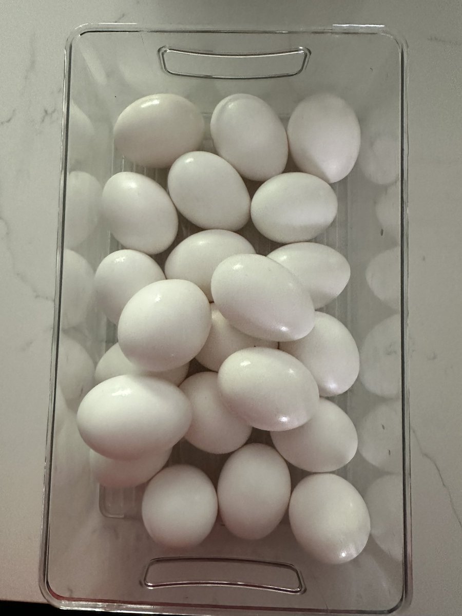 KristenMAcosta's tweet image. Love it when my husband asks me to put away the eggs.  #howmany. #numbertalkimages