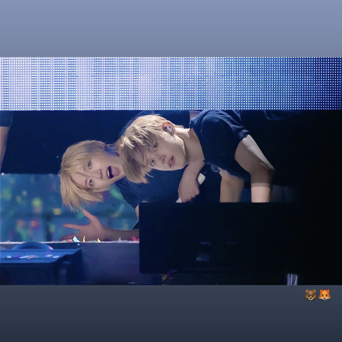 y009235's tweet photo. 강아디코양이 밤준 https://t.co/E7Ah3T2Wkc