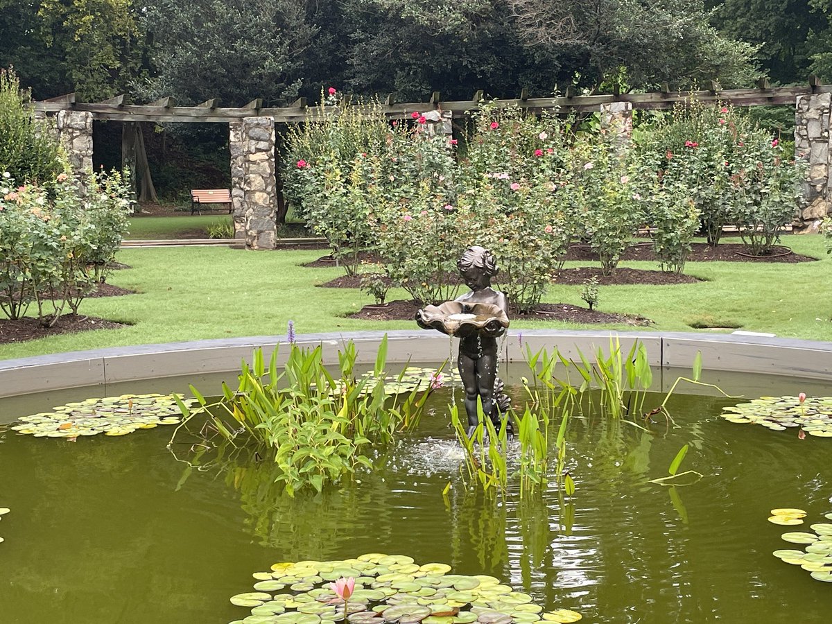 dbarman's tweet photo. What a great location the Raleigh Rose Garden https://t.co/evOCFf0hAa is to start today’s #mathwalk with counting leaves and petals @visitRaleigh - then on to the @jcraulstonarb . #mtbos #iteachmath #mathisfun #mathAndNature https://t.co/9BBZymogiM