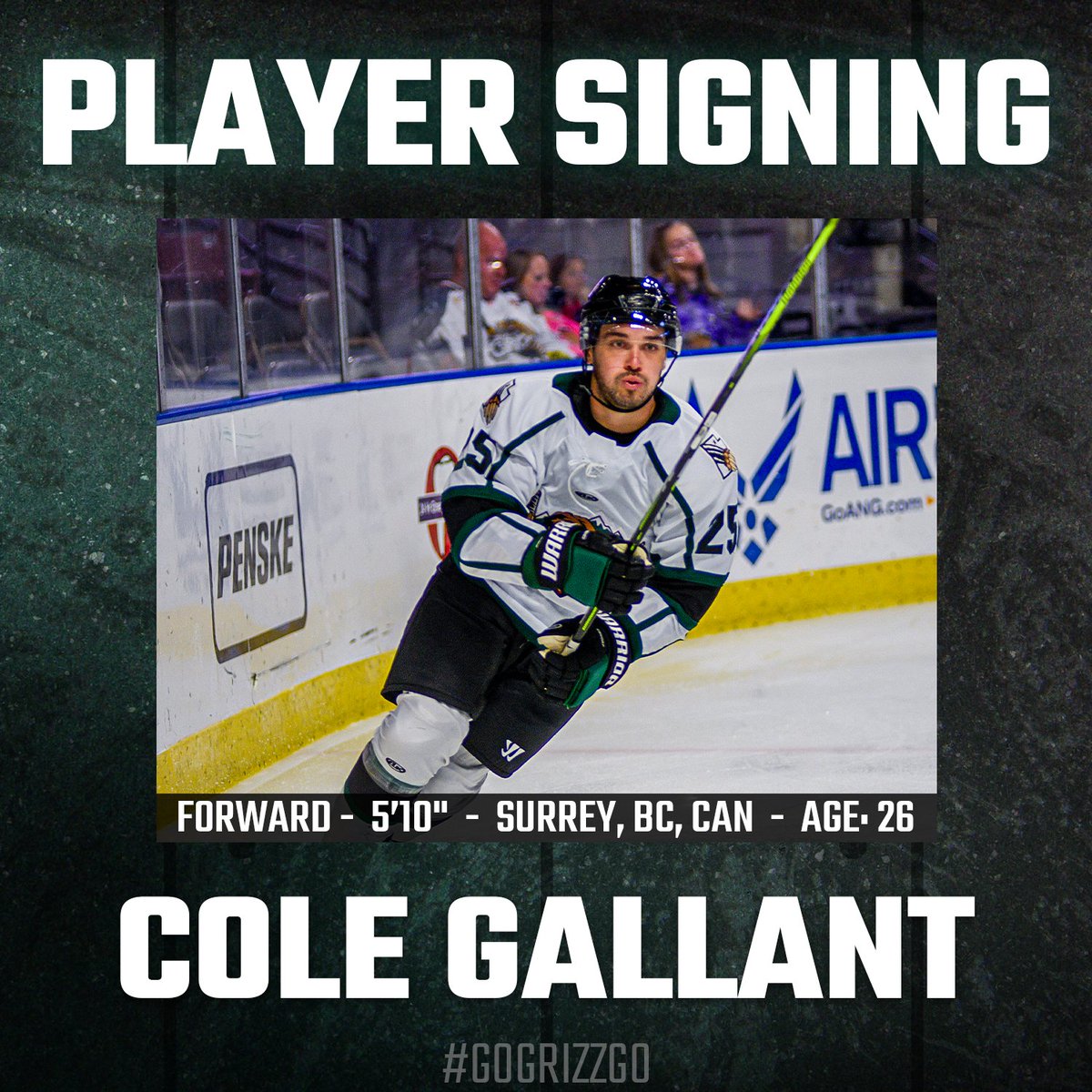 UtahGrizzlies's tweet photo. Forward Cole Gallant returns to the Grizzlies for the upcoming 2024-25 season.

Gallant appeared in 68 games for the Grizzlies in the 2023-24 season, where he scored 47 points (12 goals, 35 assists) for Utah.

Read more | https://t.co/KS3QlOYrHc

#GoGrizzGo🐻🏒 https://t.co/n8bgBGXNeq