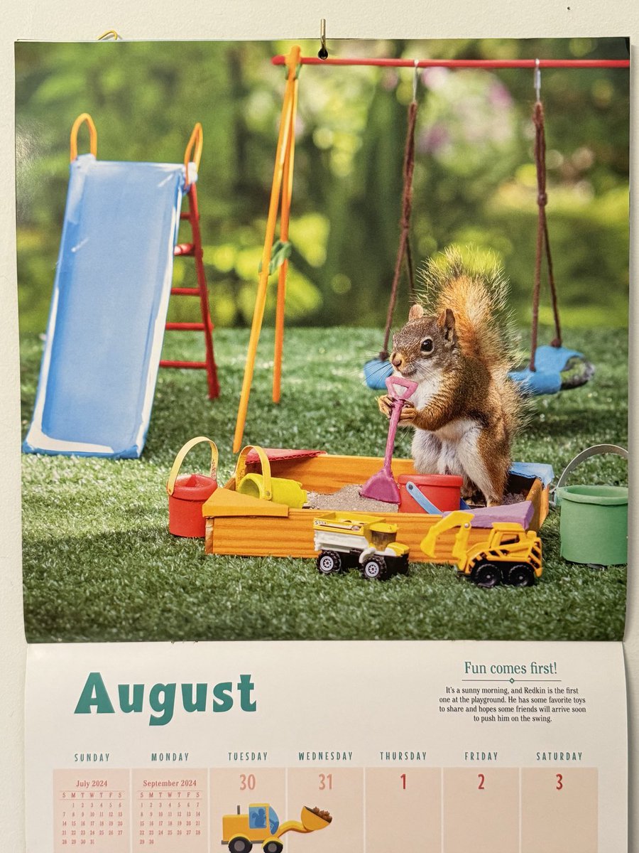 Nancy Rose tweet media