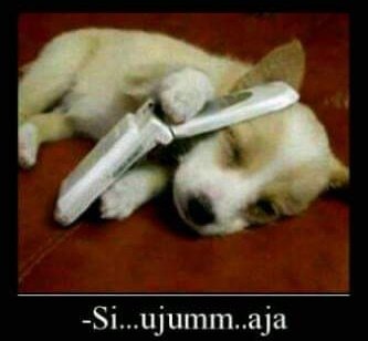 tun tun tun tun adri (@adridobleaa) on Twitter photo 