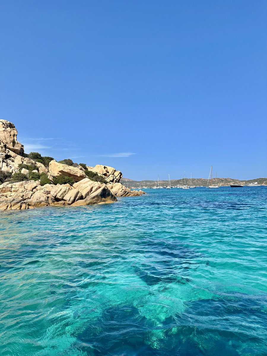 DomeTruosolo's tweet image. 50 sfumature di blu 🐟 #sardegna #spargi