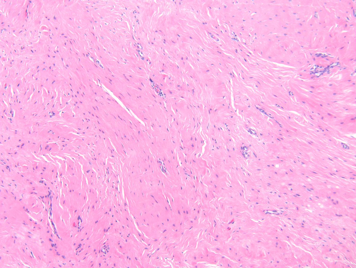 Richard Carr tweet media