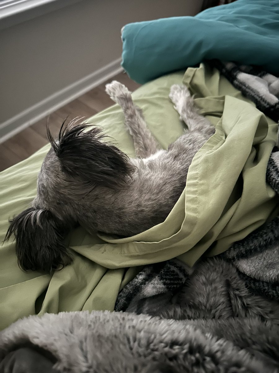 RNegade_Films's tweet image. 🎶The rain never bothered me anyway 🎶 #HurricaneDebby #Monday