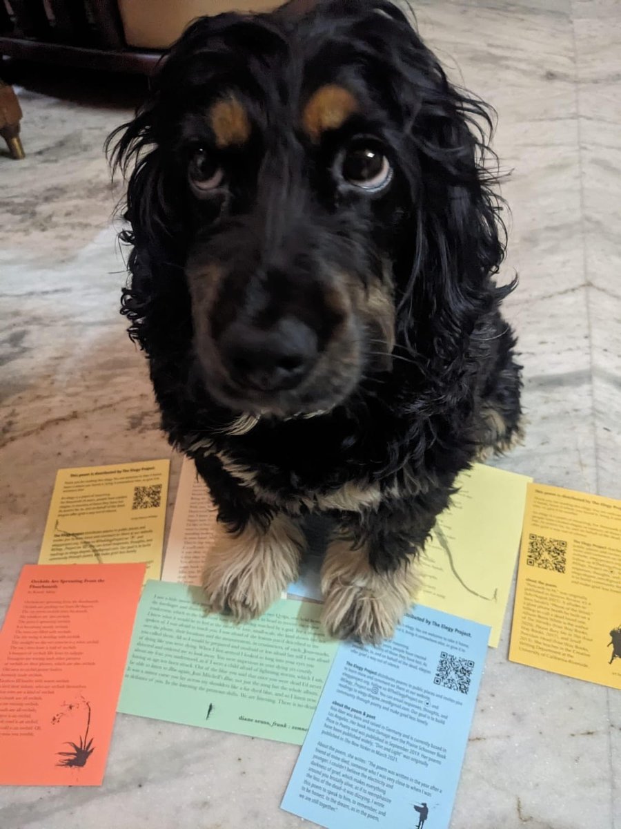 elegies with contemplative hound
(a potential series)