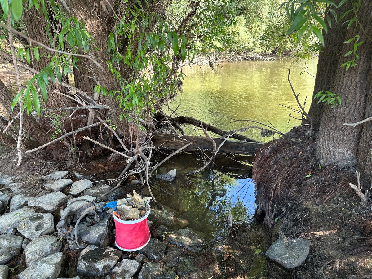 gosbonn's tweet photo. @cleanify_vet at the river rhine #4 sneaking around the riverside picking up that trash that’s left behind from the flood https://t.co/SpVClIxRsF