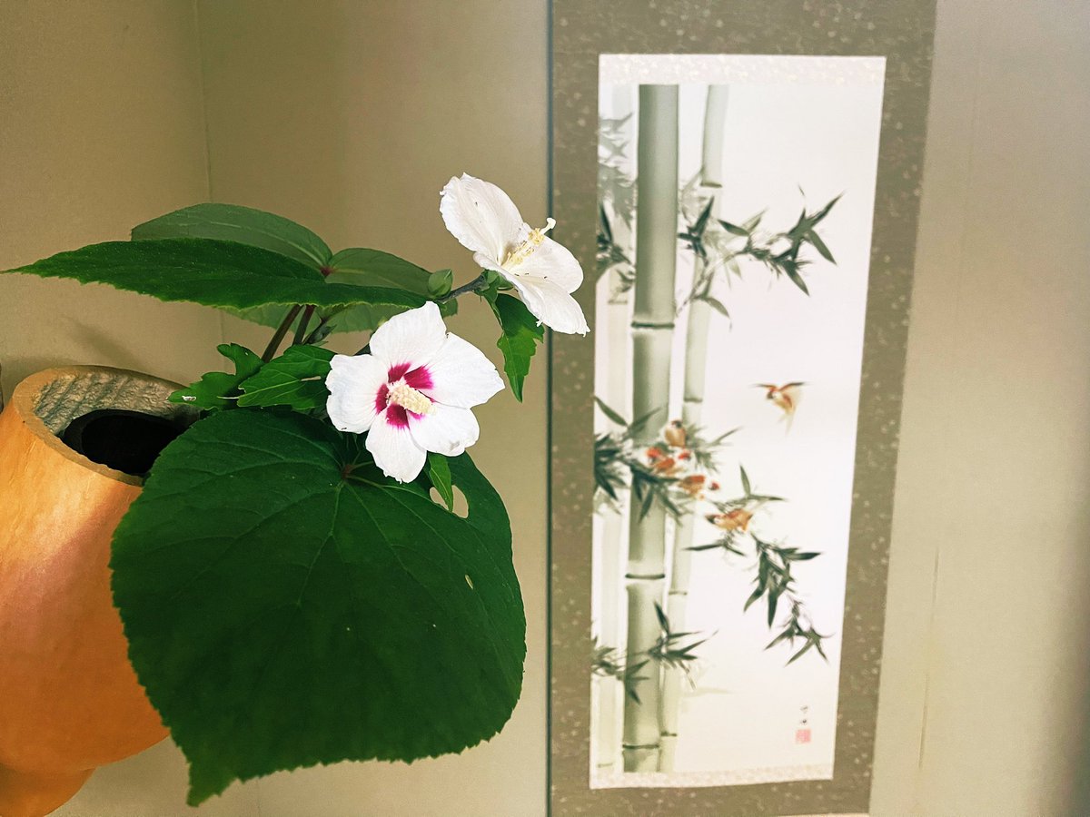 Rayward_ceo's tweet photo. 嬉しい涙なら、流して良いよね
時勢の中で先輩方から託され、そしてまた次世代に託し紡がれていく。
敬意と覚悟が時流を創ると信じている
そこを全うして死にたい

#脱グローバリズム　#資本主義の向こう側 https://t.co/Tvi0Td0Dgm