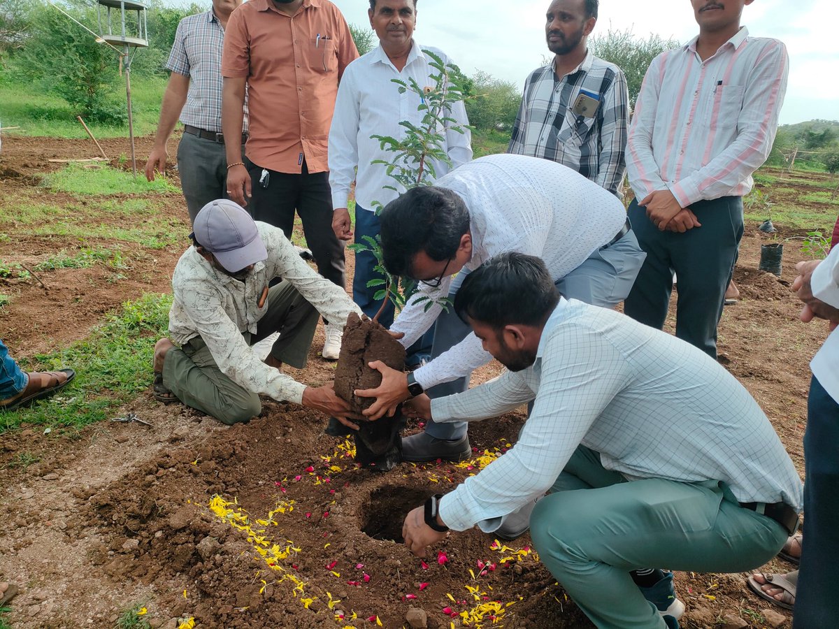 TDOBhavnagar's tweet photo. માન.વડાપ્રધાનશ્રી દ્વારા શરુ કરાયેલ 'એક પેડ માં કે નામ' અભિયાનને ચરિતાર્થ કરવા ભાવનગર તાલુકાના નવાગામ ખાતે @BhavnagarDdo સાહેબશ્રી, પર્યાવરણ પ્રેમી, પદાધિકારીશ્રી, ગ્રામજનો દ્નારા 500 વૃક્ષોનું વૃક્ષારોપણ કરી કાર્યક્રમની ઉજવણી કરેલ@CMOGuj @Collectorbhav @BhavnagarDdo @InfoGujarat https://t.co/pKwuD3pFiF