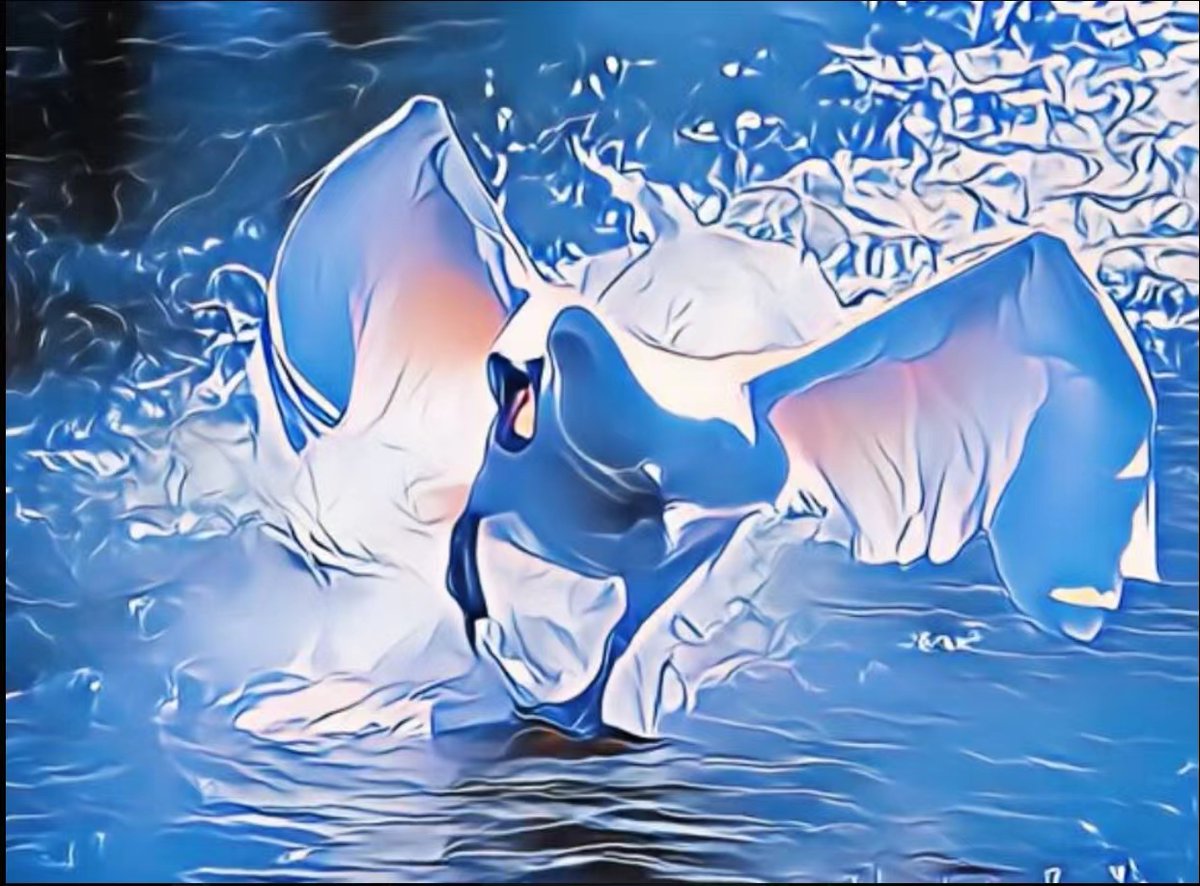 MarkinsTay2033's tweet photo. #SwanChain #SwanMemes  @swan_chain https://t.co/GH39dAnqKC