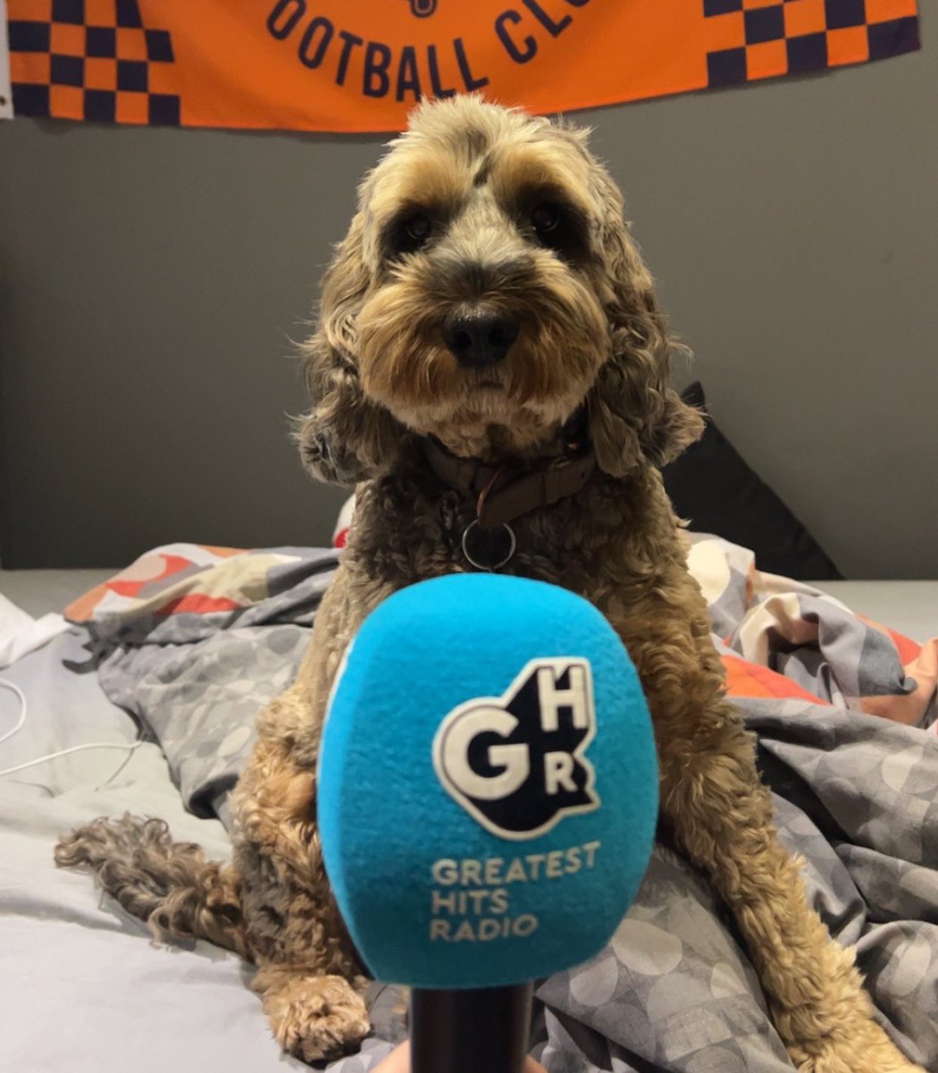 Callum McIntyre tweet media