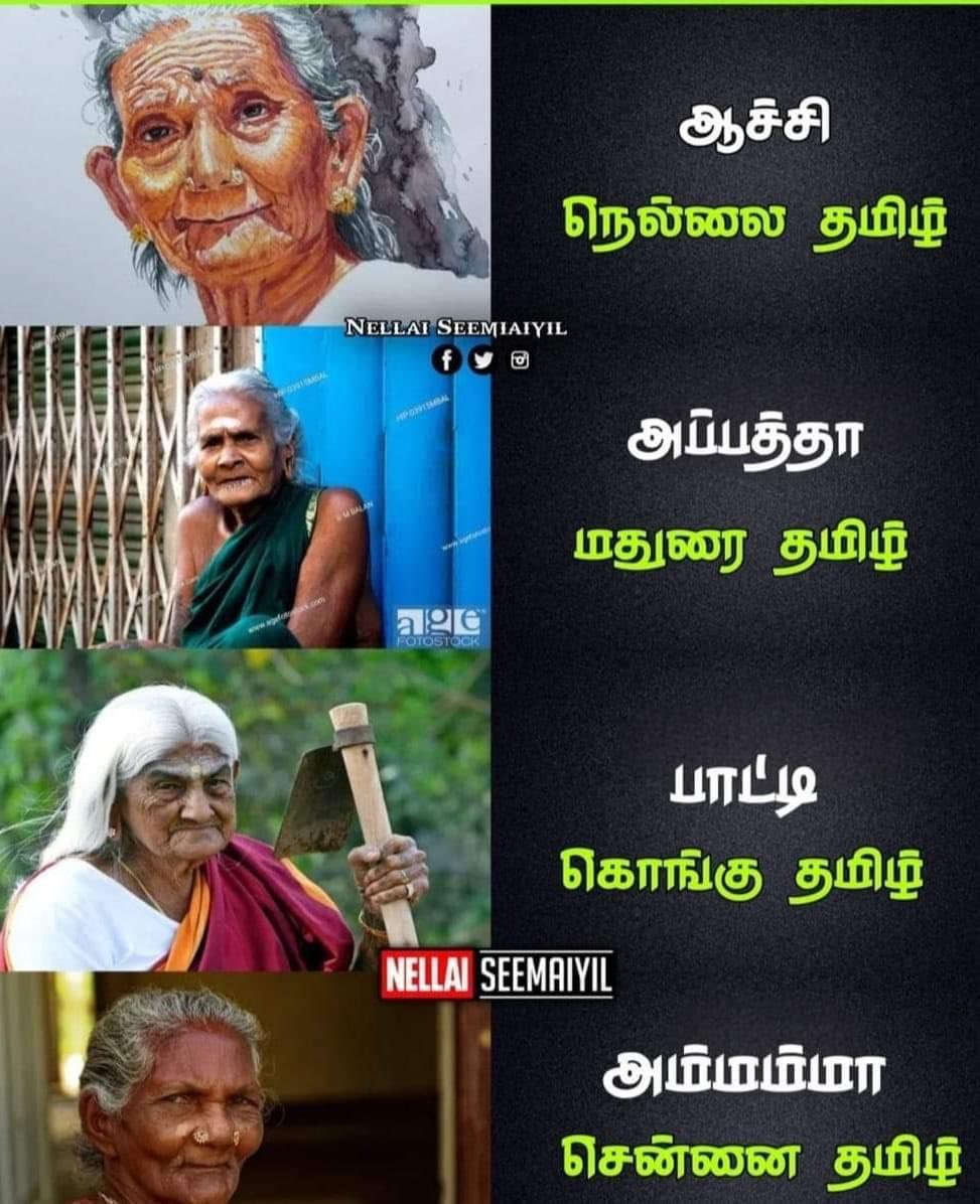 நெல்லை செல்வின் tweet media
