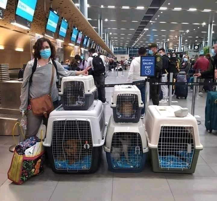 - Ella es Carolina y se mudó a otro país con todas sus mascotas "juntos".
Ella nunca publicó "doy en adopción a mis gatos y perros por falta de espacio, tiempo o mudanza".
Desde el primer momento que se adopta a un animal se hace pacto que 
""Es para siempre""