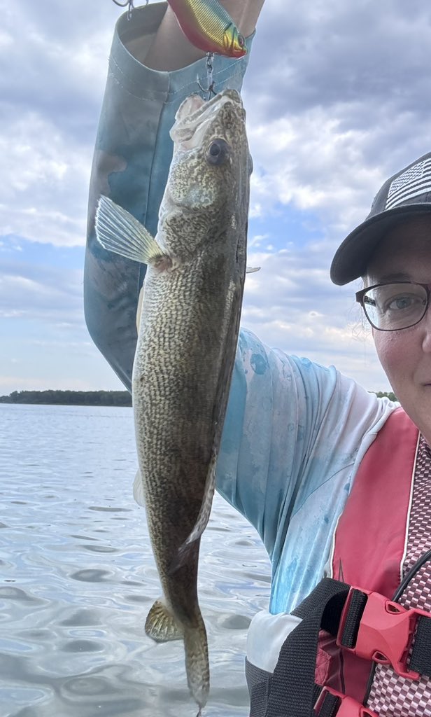 StacyJohnson124's tweet photo. It’s been a busy last few days of fishing. I have 1 more morning tomorrow. I’ve caught a lot, but no keepers! 😩 #babycatfish #babywalleye #river #missouririver #fishingtrip https://t.co/KciQ6tAlsH