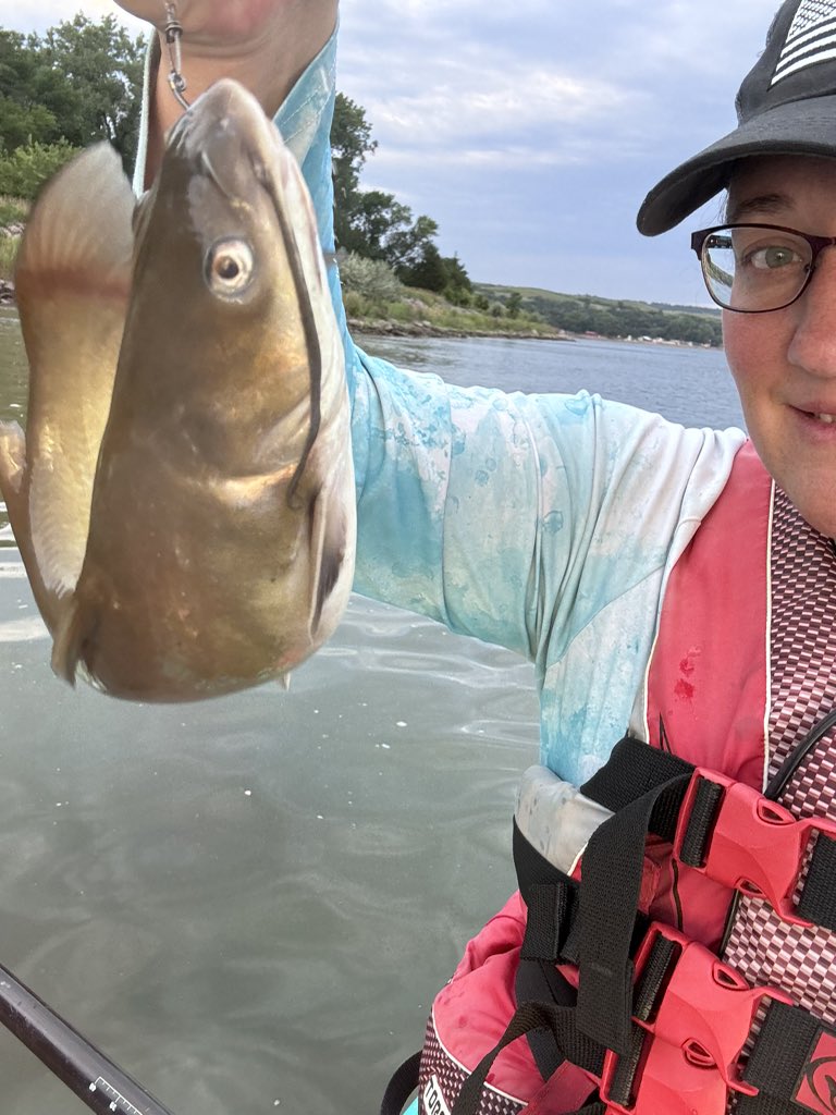 StacyJohnson124's tweet photo. It’s been a busy last few days of fishing. I have 1 more morning tomorrow. I’ve caught a lot, but no keepers! 😩 #babycatfish #babywalleye #river #missouririver #fishingtrip https://t.co/KciQ6tAlsH