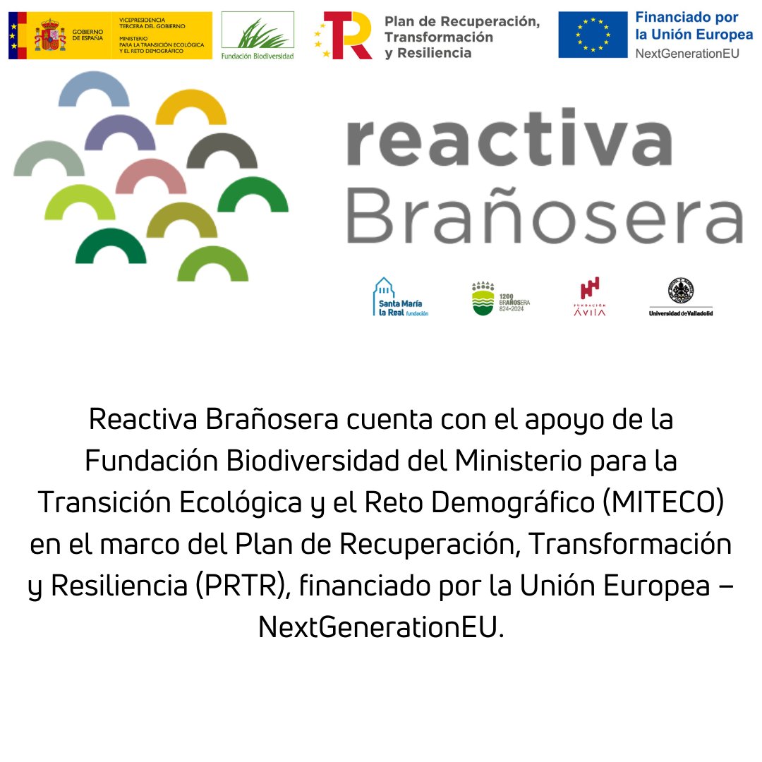 Trabajos para apoyar la ganadería extensiva en Brañosera, respetando paisaje y biodiversidad 🐐 bit.ly/ReactivaBranos… Manejo sostenible ganadero y conservación @824branosera, @fundacionavila_ y #UVa <a href="/FBiodiversidad/">Fundación Biodiversidad</a> #ProyectosPRTR #PlanDeRecuperación #NextGenerationEU