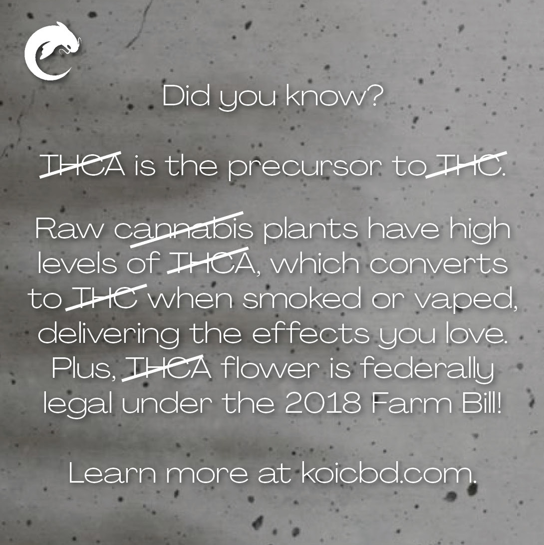 KoiCBD's tweet image. The Mother.
Available now in ⓕⓛⓞⓦⓔⓡ, ₱ⱤɆ-ⱤØⱠⱠ, and VΛPΣ.

Discover your inner chill. Shop today at koicbd.com.

#koicbd #youralternativeexperience #getlifted