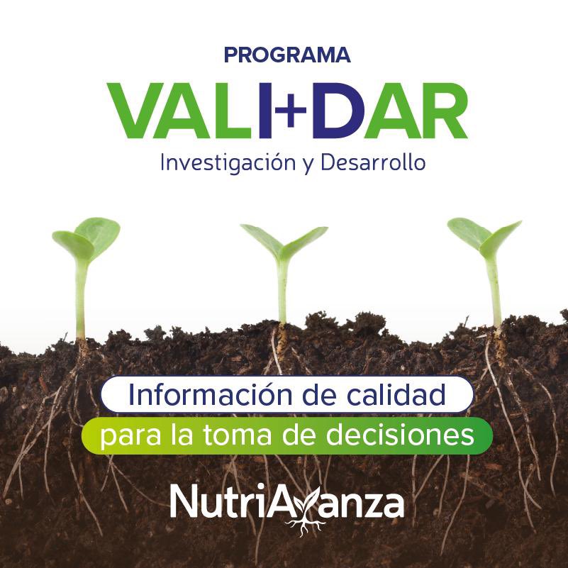 De acuerdo a la información generada por <a href="/UnicampoU/">Unicampo Uruguay</a> y <a href="/Pro_NutritionAg/">ProNutrition Agro</a> para el Programa #VALIDAR recomendamos aplicaciones foliares de #FIXAZn🇫🇷 en cultivos de #Colza #Trigo y #Cebada sobre suelos con deficiencias de #Zinc
#Nutriavanza <a href="/agroterrauy/">agroterrauy</a> 🇺🇾