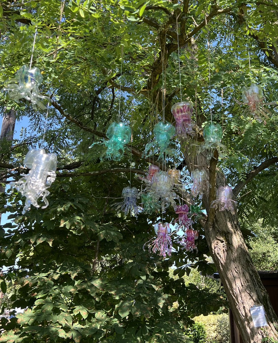 The flowers in the planter looks beautiful. The perfect place to sit and read a book. You may even see some jellyfish dancing in the tree! Part of the Octopus Summer Trail through the village. <a href="/surreylibrary/">Surrey Libraries</a> <a href="/AshteadParkGC/">Ashtead Park Garden Centre</a>
