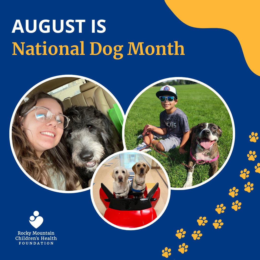 August is National Dog Month! 🐶 At Rocky Mountain Children's Health Foundation, we celebrate the magical connection between kids and dogs through our Stink Bug Project and Paws for RMCHF program. Having a furry friend by your side during tough times makes all the difference! 💕