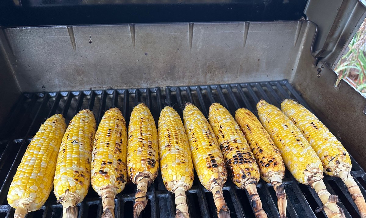 heirloomroots's tweet photo. @agirite When I see fresh corn, that's exactly what I envision—nature’s perfect golden kernels waiting to be grilled.🌽✨ #FreshCorn #HarvestTime #FarmToTable https://t.co/OGkHqXwWsv
