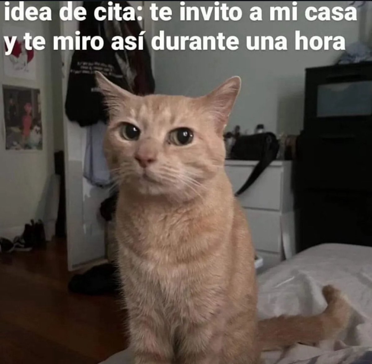 el cocas (@bautizita) on Twitter photo 