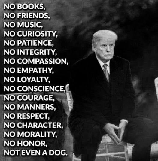 DLB2022__'s tweet photo. Here are some add on's...😄#EvilOne #treason #Bully #narcissistic #racist #homophobic #Criminal #TrumpIsACoward #TrumpIsGuilty #bigortry #trumpisanationalsecuritythreat #Liar #TrumpIsANationalDisgrace #FeloniousDJT There are more. I don't wonder why he hasn't anyone... https://t.co/3p1YhOCQ2N