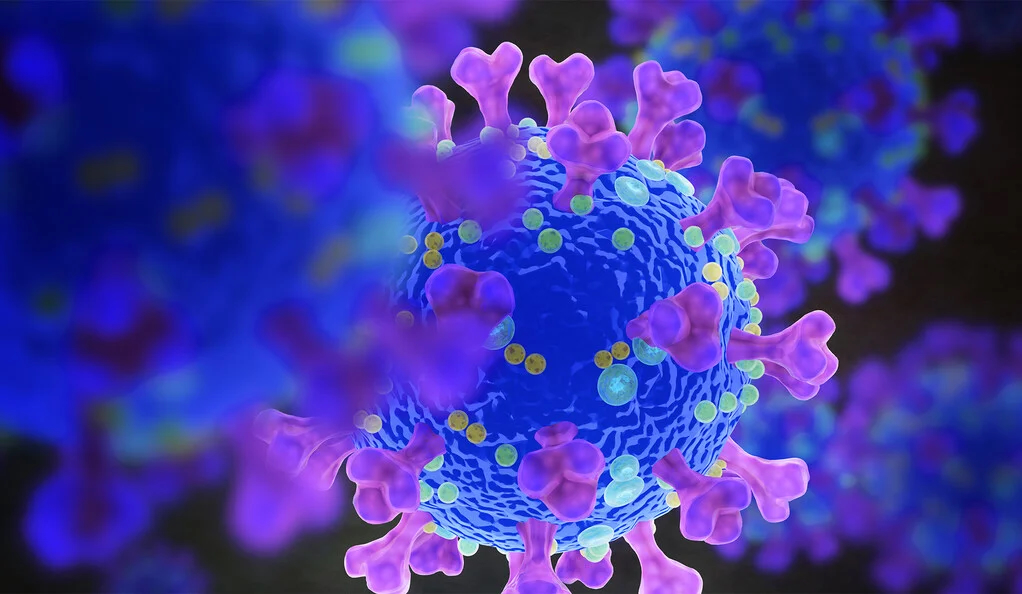 What makes SARS-CoV-2 so infectious? In a new study, <a href="/YaleIBIO/">Yale Department of Immunobiology</a> researchers investigate two of the #COVID-19 #virus’s closest cousins to shed new light on what what shapes a pathogen’s “#pandemic potential.” brnw.ch/21wLGrG