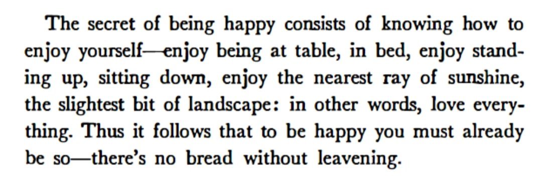 Gustave Flaubert, this is it