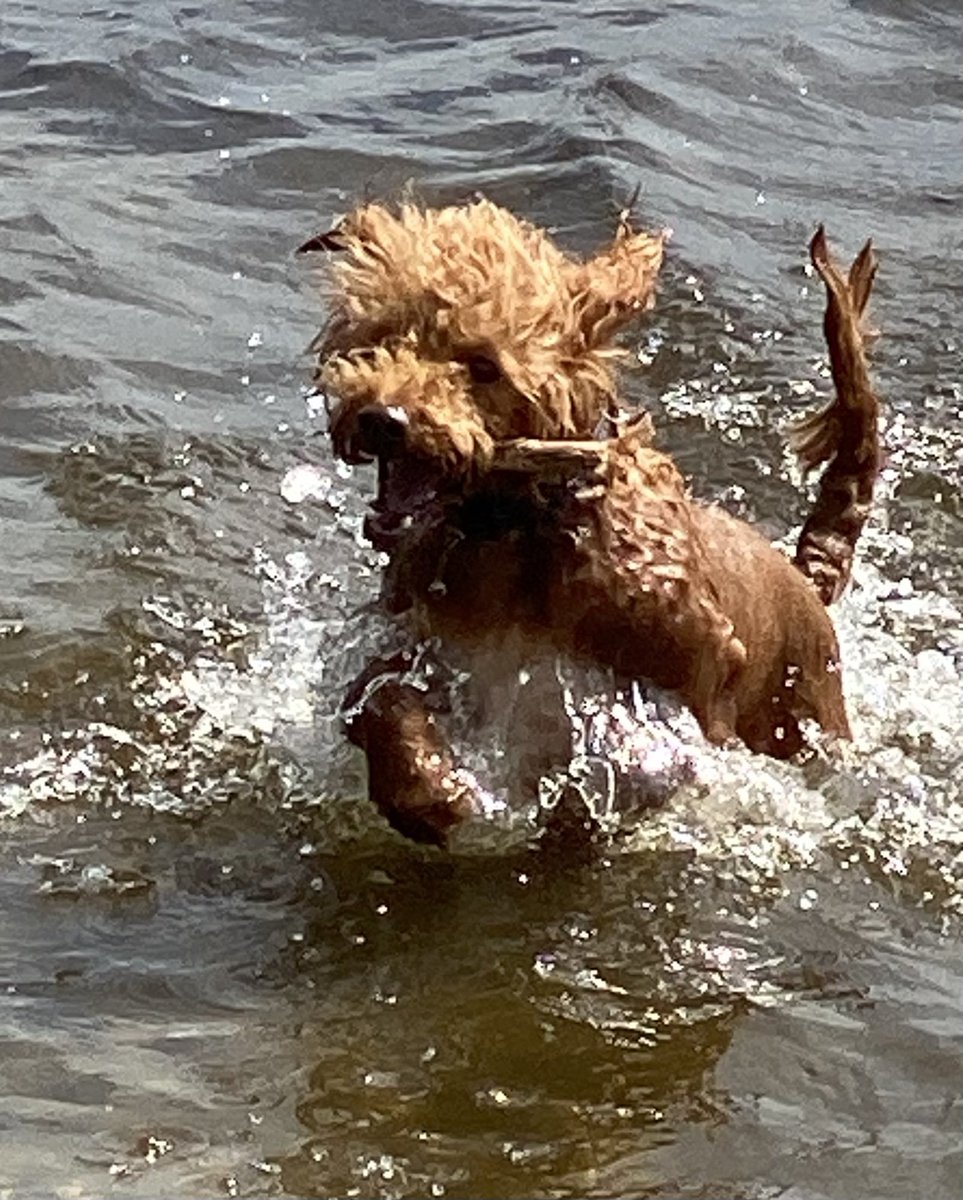 ExploraNeedham's tweet image. 