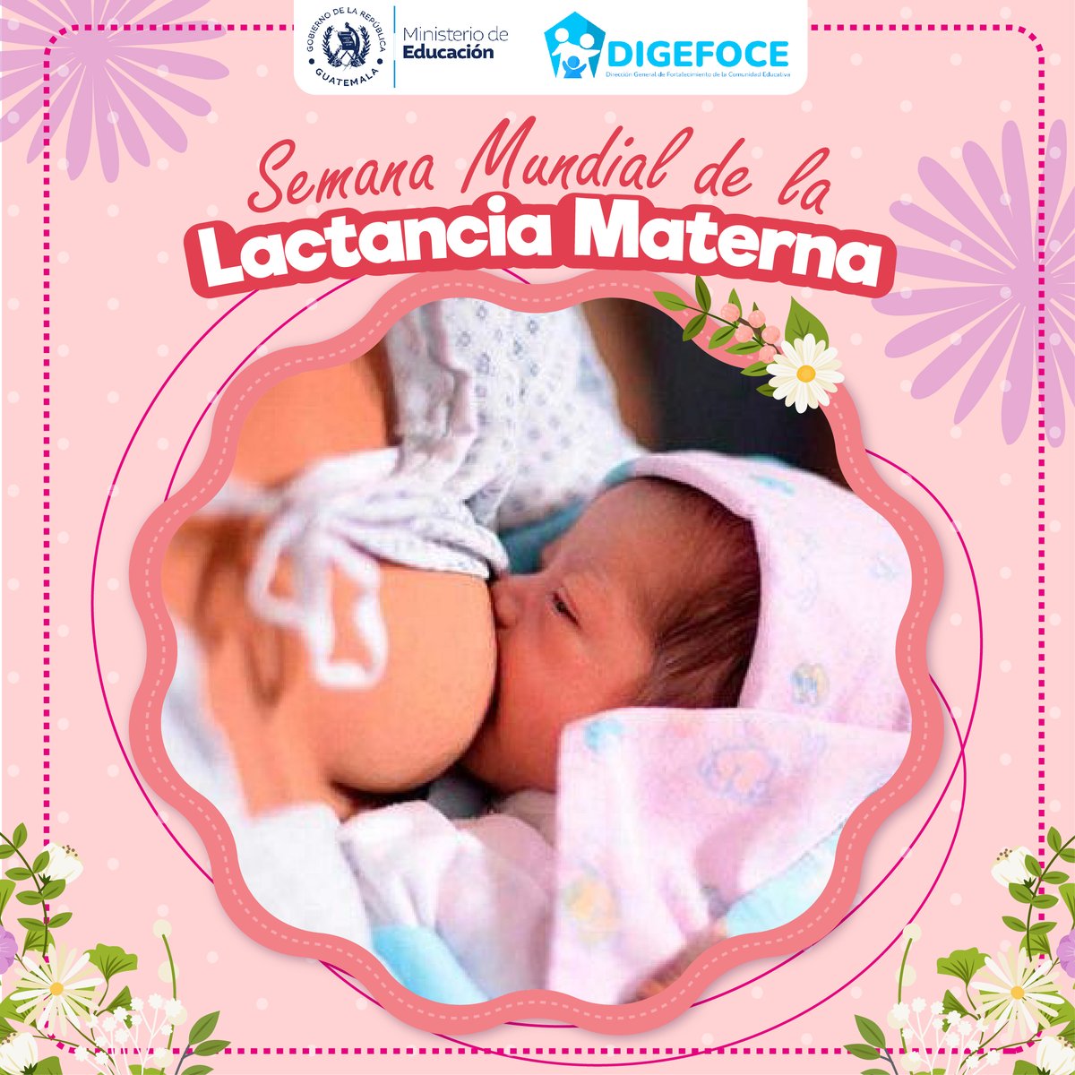 La leche materna protege contra infecciones y puede prevenir muchas muertes infantiles.

Amamante al bebé desde el nacimiento, ya que la primera leche conocida como "calostro" contiene agentes defensores para prevenir infecciones.
#lactanciamaterna #DIGEFOCE #Mineduc