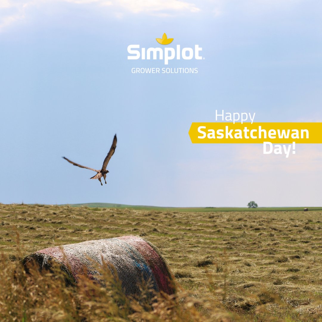 Happy Saskatchewan Day!

Saskatchewan is known for its beautiful landscapes, including vast prairies, rolling hills, and living skies. 

Saskatchewan is a major producer of wheat, canola, lentils, and other crops and we are proud to support the communities we work and live in!