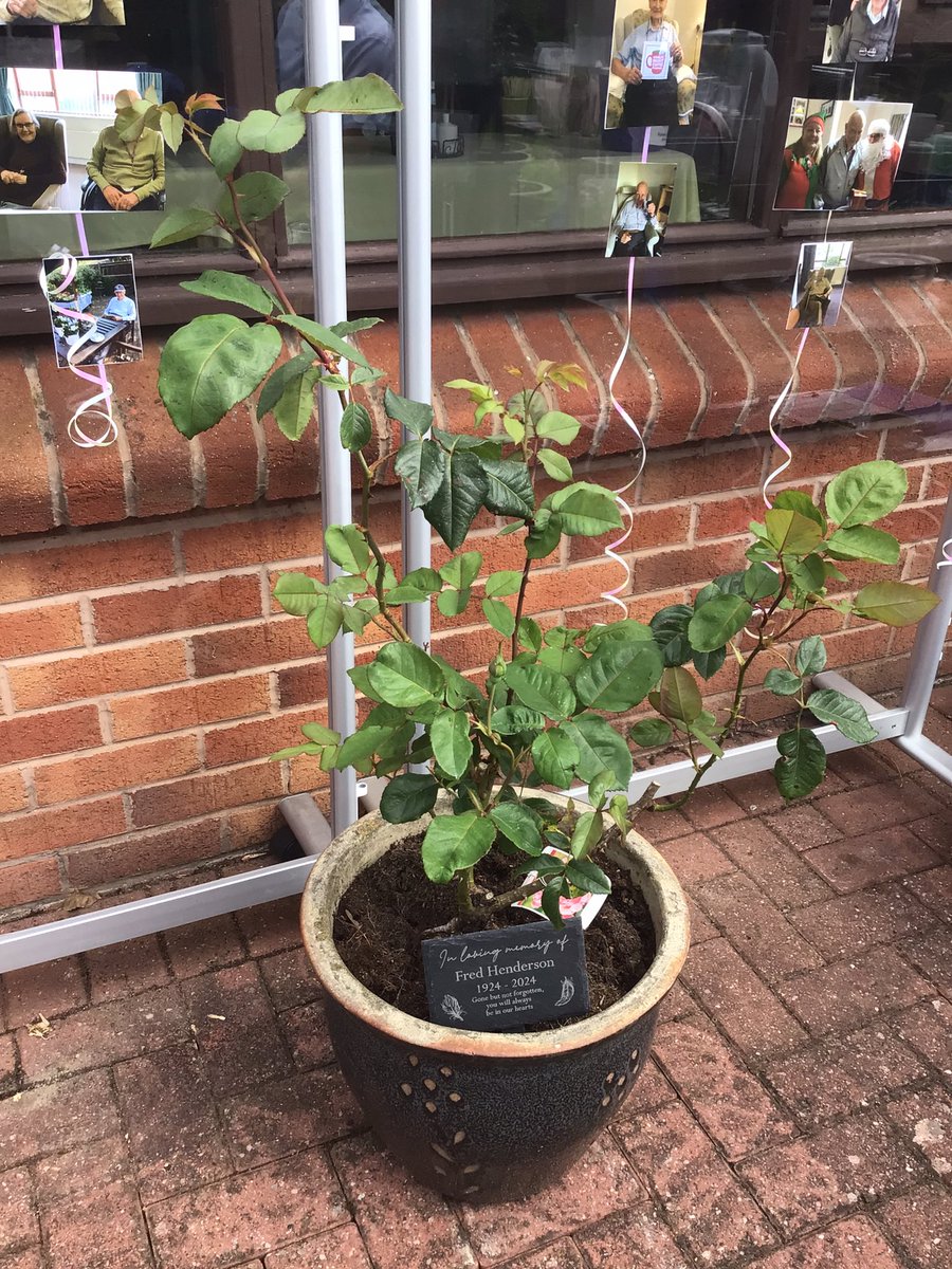 RidingsBanbury's tweet photo. Saturday at our summer barbecue in memory of Fred who passed away early this year, he would have turn 100 on Saturday, we have planted a rose plant in our garden in memory of Fred. Thank you to everyone who join us to make the day special @AnchorLaterLife ����🎤🪴🎶🌼🌺🕺💃 https://t.co/S2a3PlylN6