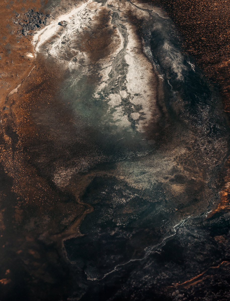 Mara de la Torre tweet media