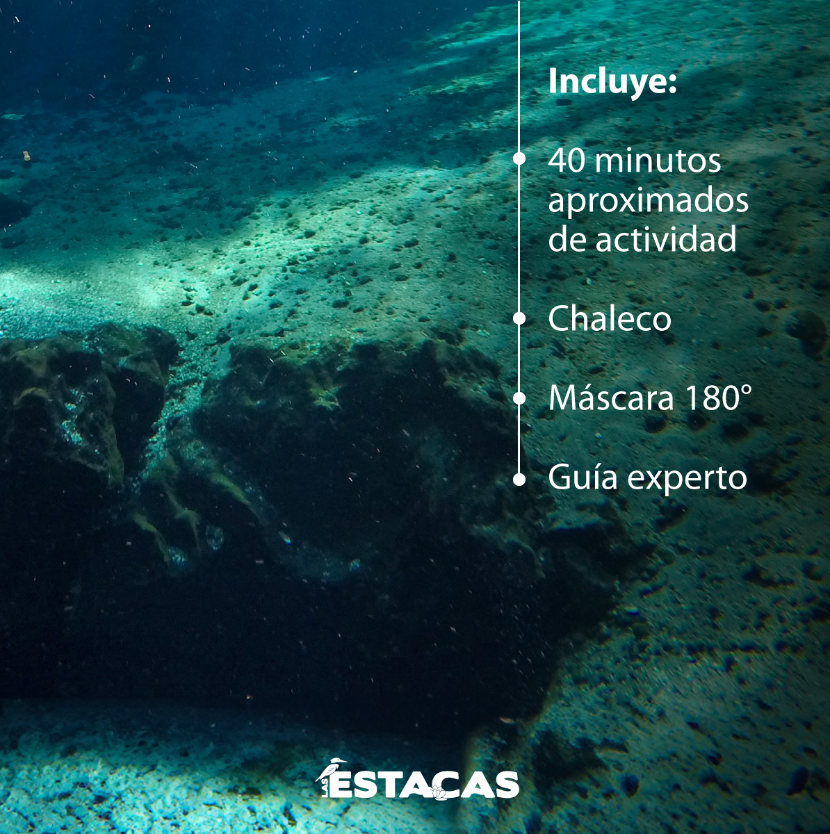 ¡Déjate llevar por la corriente! Recorre el paraíso bajo el agua en nuestro #TourDeSnorkel. 

Durante tus vacaciones, días festivos o fines de semana, puedes elegir tomar nuestro tour y admirar la belleza de #LasEstacas. 

Consulta más información en 📲 lasestacas.com