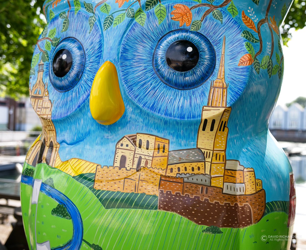 ChichesterCanal's tweet photo. Owl at Chichester is one of the most photographed owl. 📸 David Richardson
#chestnut #thebighoot #chestnuttreehouse
#Mondayvibes #westsussex https://t.co/8saLgwaYW4
