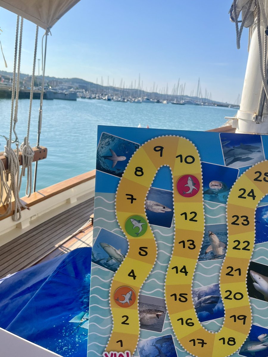 Secondo appuntamento di laboratori didattici a bordo della #GolettaVerde a Civitanova Marche!  

Oggi con tante bambine e bambini abbiamo ascoltato i versi dei delfini e abbiamo imparato perché non dobbiamo temere gli squali 🦈

#lifeprogramme #lifeelife #lifedelfi