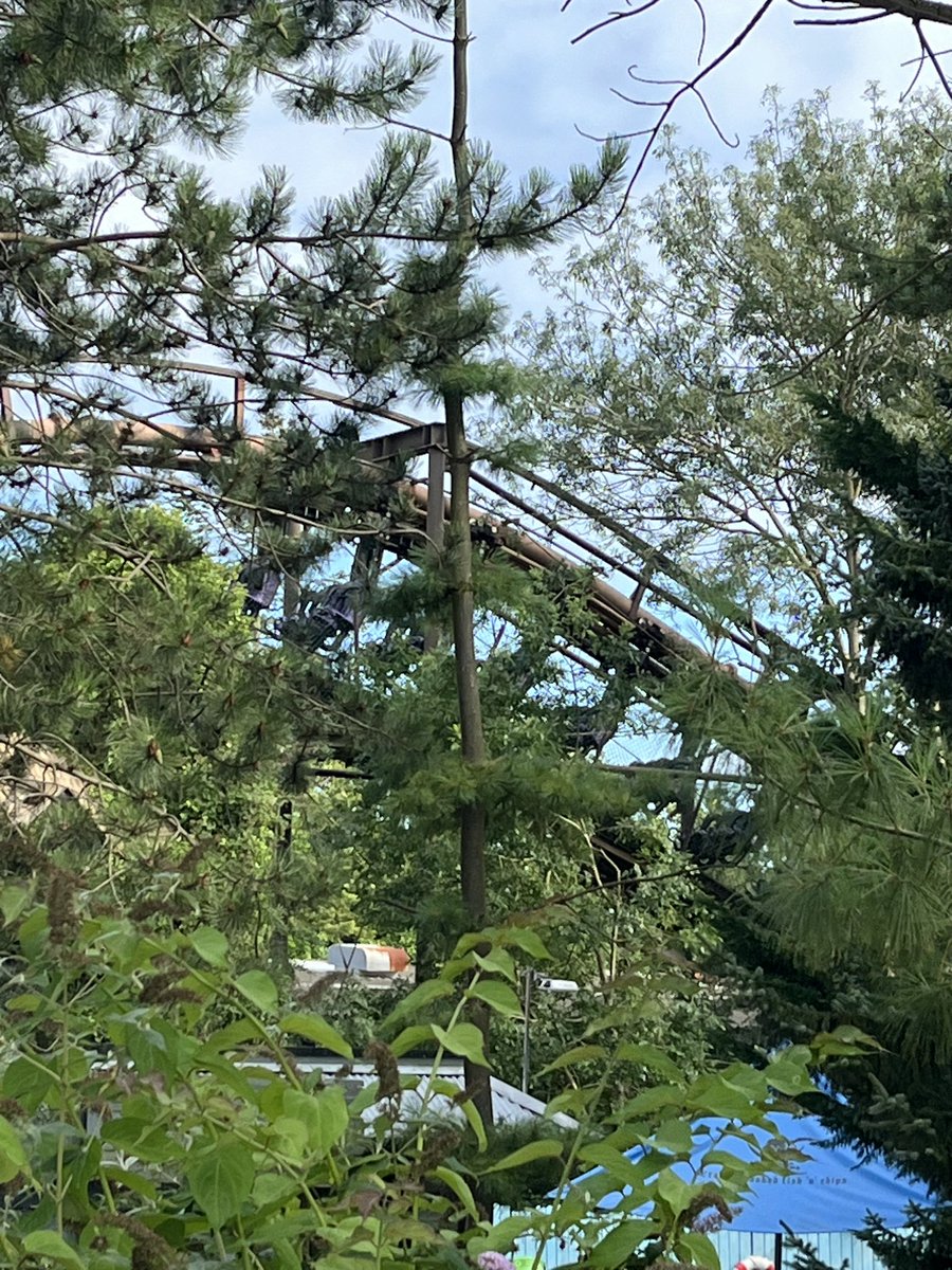 RainbowTudor's tweet photo. #Vampire stuck at #CWOA https://t.co/2awKzdTsB4