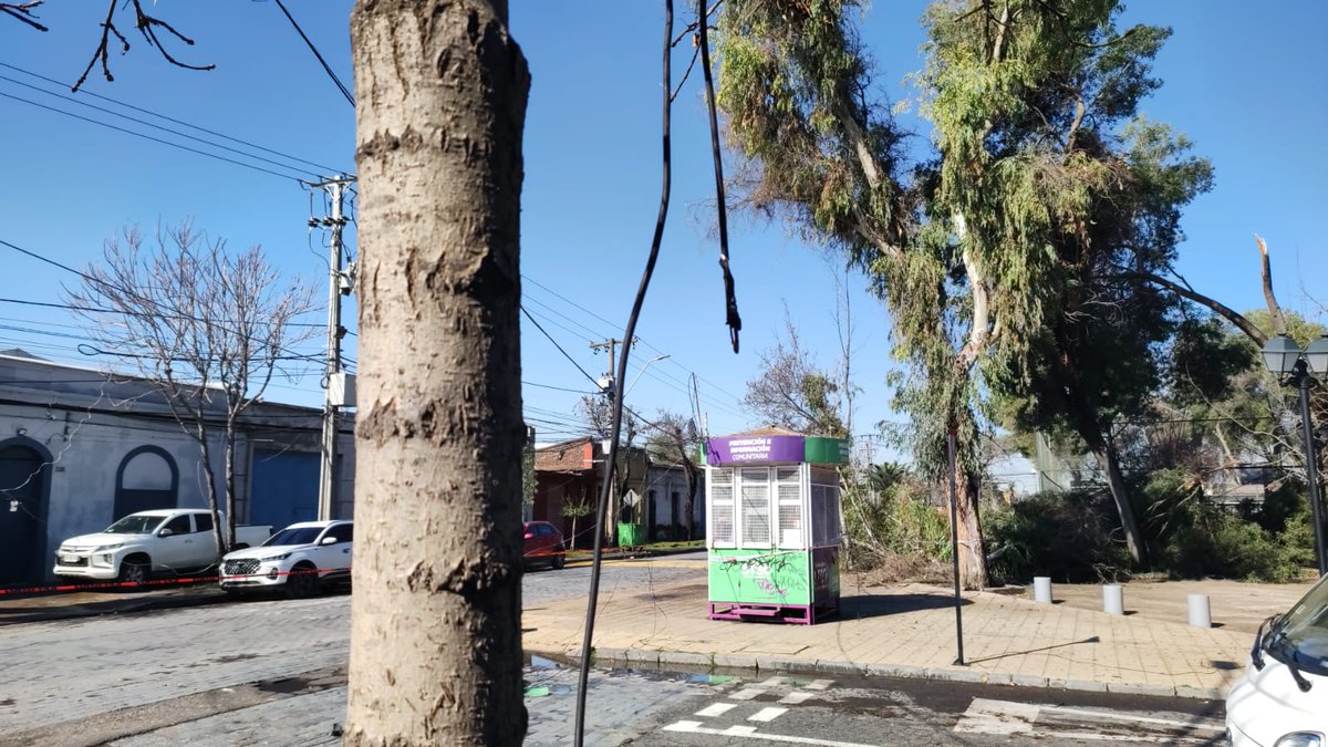 <a href="/IraciHassler/">Irací Hassler Jacob</a> <a href="/EnelChile/">Enel Chile</a> <a href="/SEC_cl/">Superintendencia de Electricidad y Combustibles</a> Así estamos desde el día del temporal de viento y lluvia postes en el suelo, árboles cortados y lo más PELIGROSO cable de con electricidad <a href="/biobio/">BioBioChile</a> <a href="/meganoticiascl/">Meganoticias</a> <a href="/stho/">Stefan Holmer</a> <a href="/comitesnalfonso/">Comité de seguridad San Alfonso - Juan Espejo</a> <a href="/chvnoticias/">CHV Noticias</a> <a href="/Muni_Stgo/">Santiago</a> <a href="/Enel_Informa_CL/">@Enel_Informa_CL</a> <a href="/EnelChile/">Enel Chile</a> <a href="/BuenosDiasTVN/">Buenos Días a Todos</a> #ALERTA <a href="/24HorasTVN/">24 Horas</a>