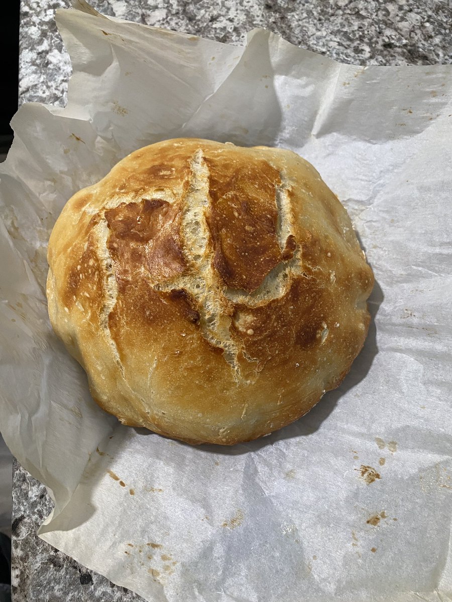 Alphie_Wolf's tweet photo. I made bread. https://t.co/bnzG5Ed4uA