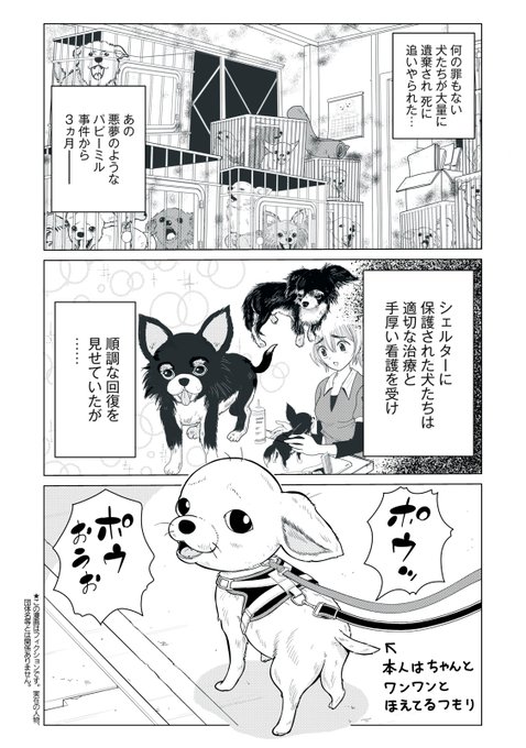 GUP26feawAAAoAT.jpg:small