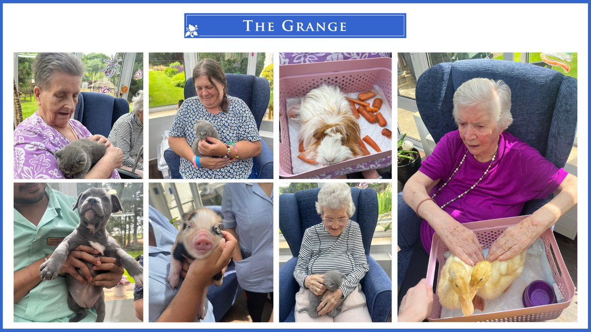 The residents were welcomed by pet therapy and all the wonderful animals. It brought so much joy and happiness to the residents seeing the animals. They got to have cuddles with the kittens, pet the guinea pig and play with the puppy.